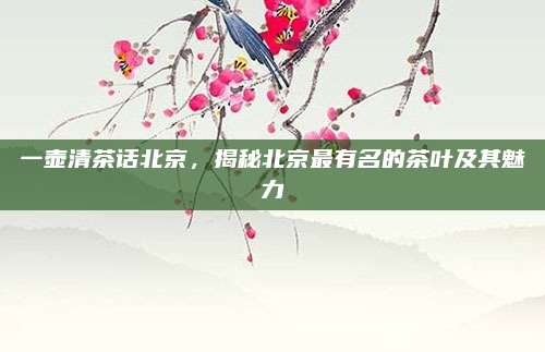 一壶清茶话北京，揭秘北京最有名的茶叶及其魅力