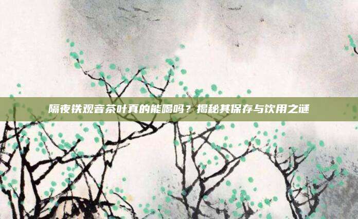 隔夜铁观音茶叶真的能喝吗?揭秘其保存与饮用之谜