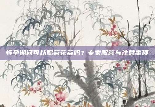 怀孕期间可以喝菊花茶吗?专家解答与注意事项