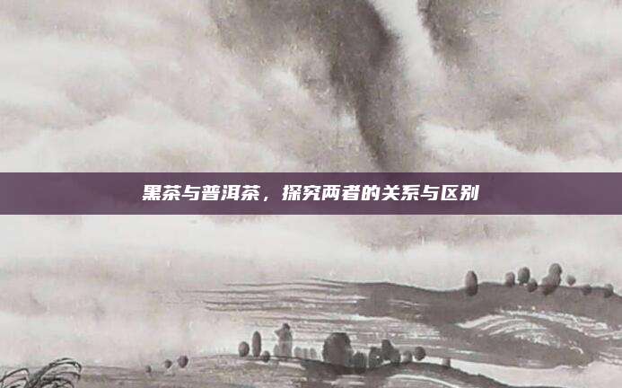黑茶与普洱茶，探究两者的关系与区别