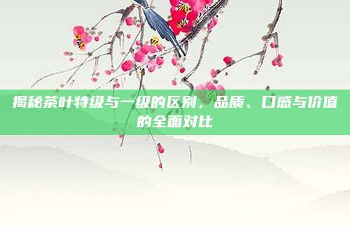 揭秘茶叶特级与一级的区别，品质、口感与价值的全面对比