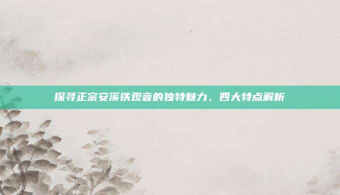 探寻正宗安溪铁观音的独特魅力，四大特点解析