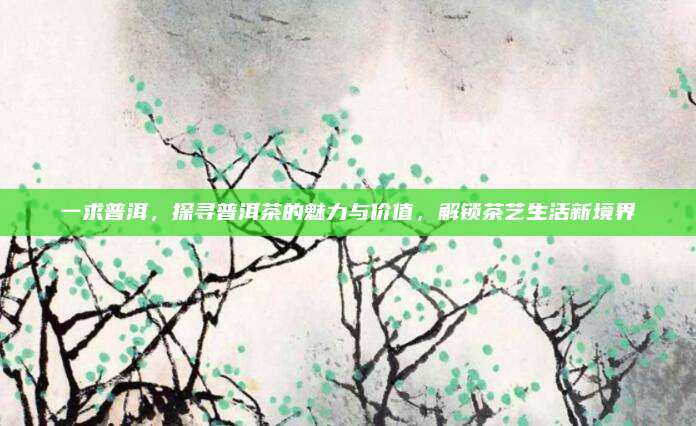 一求普洱，探寻普洱茶的魅力与价值，解锁茶艺生活新境界