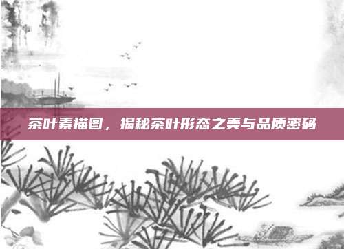 茶叶素描图，揭秘茶叶形态之美与品质密码