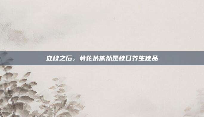 立秋之后,菊花茶依然是秋日养生佳品