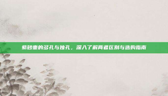 紫砂壶的多孔与独孔，深入了解两者区别与选购指南
