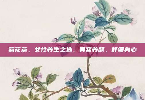 菊花茶，女性养生之选，美容养颜，舒缓身心