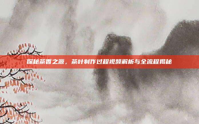 探秘茶香之源,茶叶制作过程视频解析与全流程揭秘