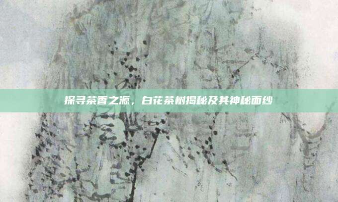 探寻茶香之源，白花茶树揭秘及其神秘面纱