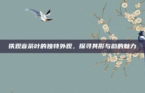 铁观音茶叶的独特外观,探寻其形与韵的魅力