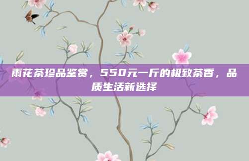 雨花茶珍品鉴赏，550元一斤的极致茶香，品质生活新选择