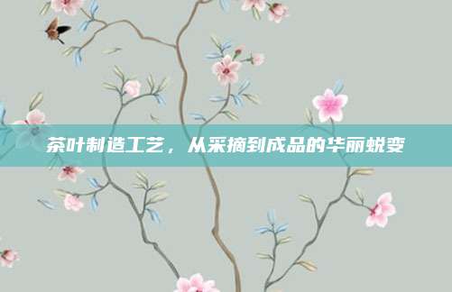 茶叶制造工艺，从采摘到成品的华丽蜕变