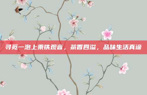 寻觅一泡上乘铁观音,茶香四溢,品味生活真谛