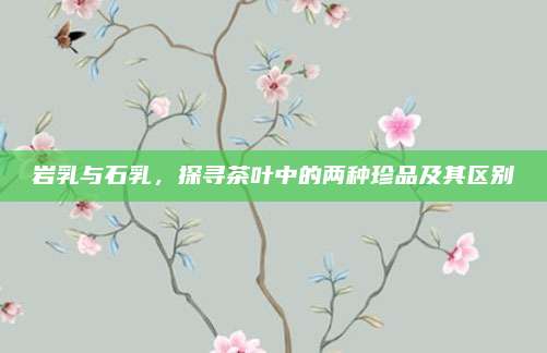 岩乳与石乳，探寻茶叶中的两种珍品及其区别