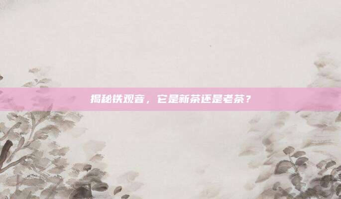 揭秘铁观音，它是新茶还是老茶？