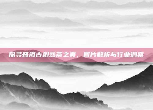探寻普洱古树熟茶之美,图片解析与行业洞察