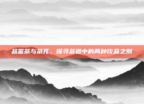 品鉴茶与茶兀,探寻茶道中的两种饮品之别