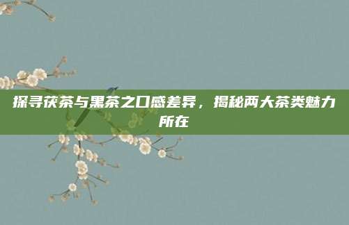 探寻茯茶与黑茶之口感差异,揭秘两大茶类魅力所在