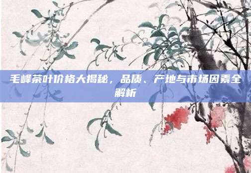 毛峰茶叶价格大揭秘,品质、产地与市场因素全解析