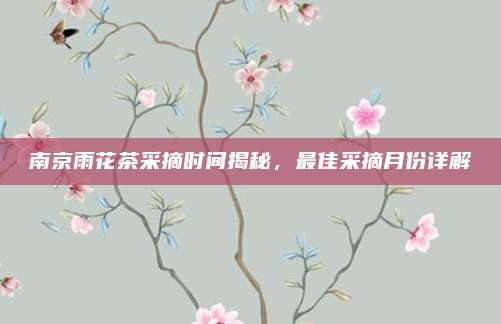南京雨花茶采摘时间揭秘，最佳采摘月份详解