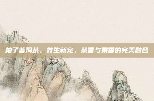 柚子普洱茶,养生新宠,茶香与果香的完美融合
