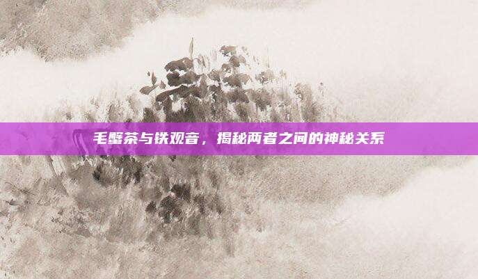 毛蟹茶与铁观音,揭秘两者之间的神秘关系