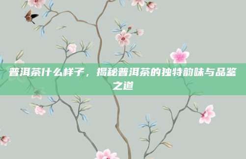 普洱茶什么样子,揭秘普洱茶的独特韵味与品鉴之道