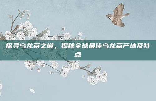 探寻乌龙茶之巅,揭秘全球最佳乌龙茶产地及特点
