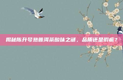 揭秘陈升号熟普洱茶酸味之谜，品质还是瑕疵？