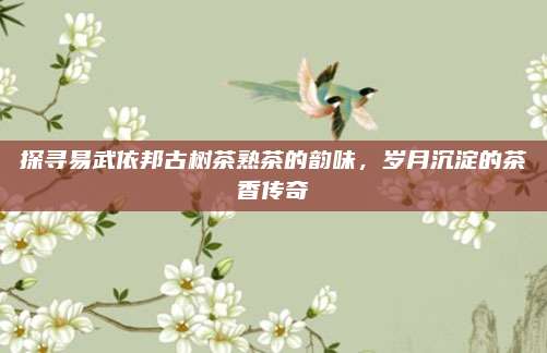 探寻易武依邦古树茶熟茶的韵味，岁月沉淀的茶香传奇