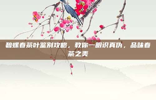 碧螺春茶叶鉴别攻略,教你一眼识真伪,品味春茶之美