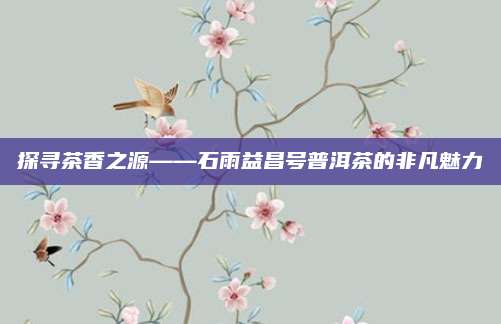 探寻茶香之源——石雨益昌号普洱茶的非凡魅力