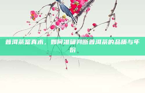 普洱茶鉴真术，如何准确判断普洱茶的品质与年份