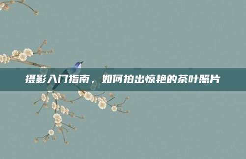 摄影入门指南,如何拍出惊艳的茶叶照片