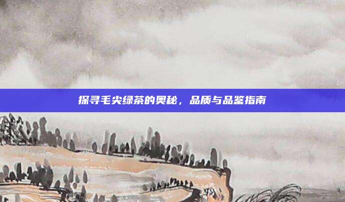 探寻毛尖绿茶的奥秘，品质与品鉴指南