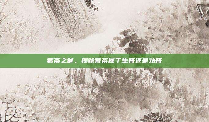 藏茶之谜,揭秘藏茶属于生普还是熟普
