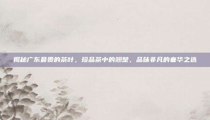 揭秘广东最贵的茶叶,珍品茶中的翘楚,品味非凡的奢华之选