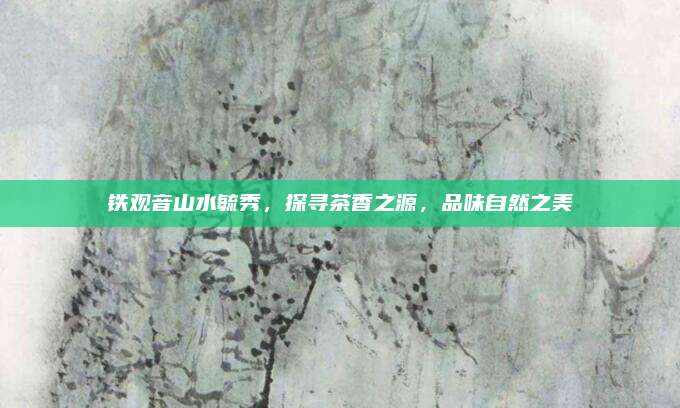 铁观音山水毓秀，探寻茶香之源，品味自然之美