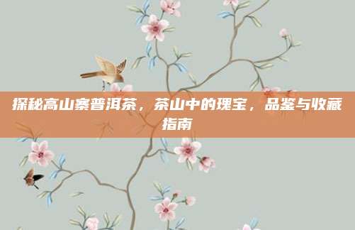 探秘高山寨普洱茶,茶山中的瑰宝,品鉴与收藏指南