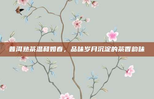 普洱熟茶温和如春,品味岁月沉淀的茶香韵味