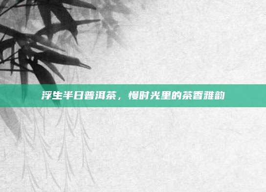 浮生半日普洱茶，慢时光里的茶香雅韵
