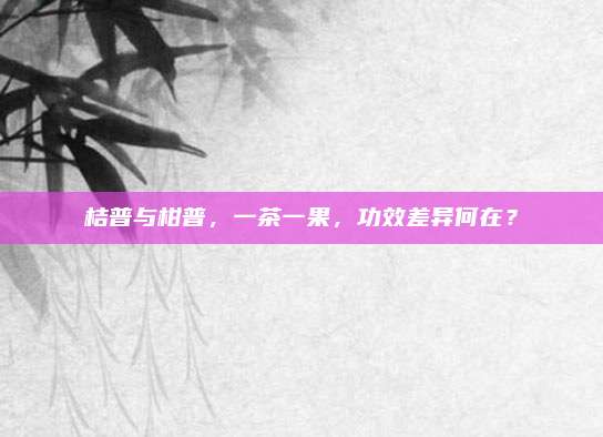 桔普与柑普,一茶一果,功效差异何在?