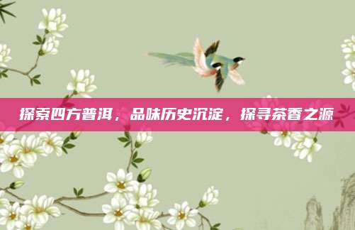 探索四方普洱,品味历史沉淀,探寻茶香之源