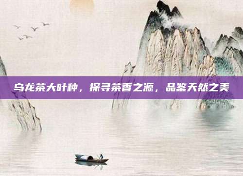 乌龙茶大叶种,探寻茶香之源,品鉴天然之美