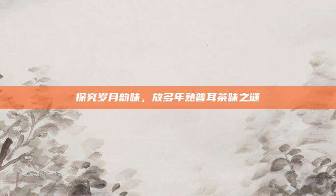 探究岁月韵味,放多年熟普耳茶味之谜