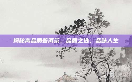 揭秘高品质普洱茶,品质之选,品味人生