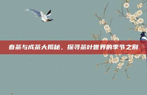 春茶与成茶大揭秘，探寻茶叶世界的季节之别
