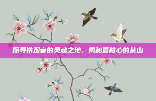 探寻铁观音的灵魂之地，揭秘最核心的茶山
