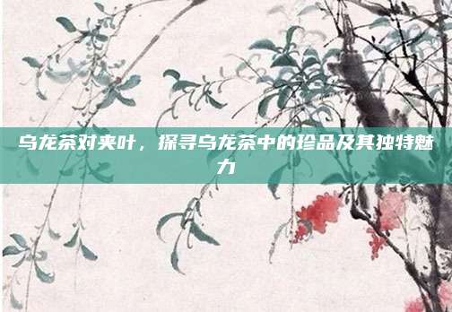 乌龙茶对夹叶,探寻乌龙茶中的珍品及其独特魅力