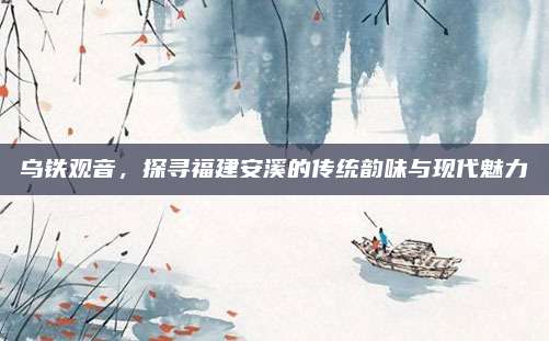 乌铁观音,探寻福建安溪的传统韵味与现代魅力